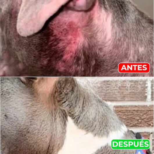 Pet Skin para Mascotas