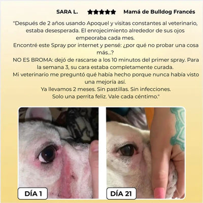 Pet Skin para Mascotas