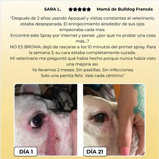Pet Skin para Mascotas