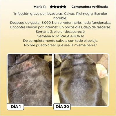 Pet Skin para Mascotas