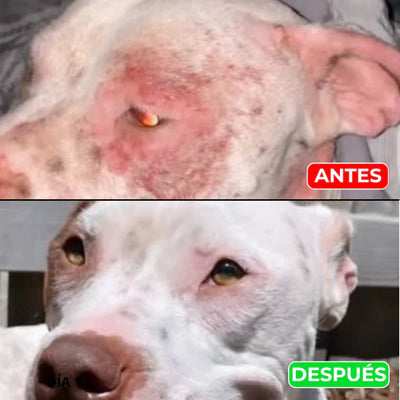 Pet Skin para Mascotas